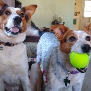 Meet your Posher, Maria